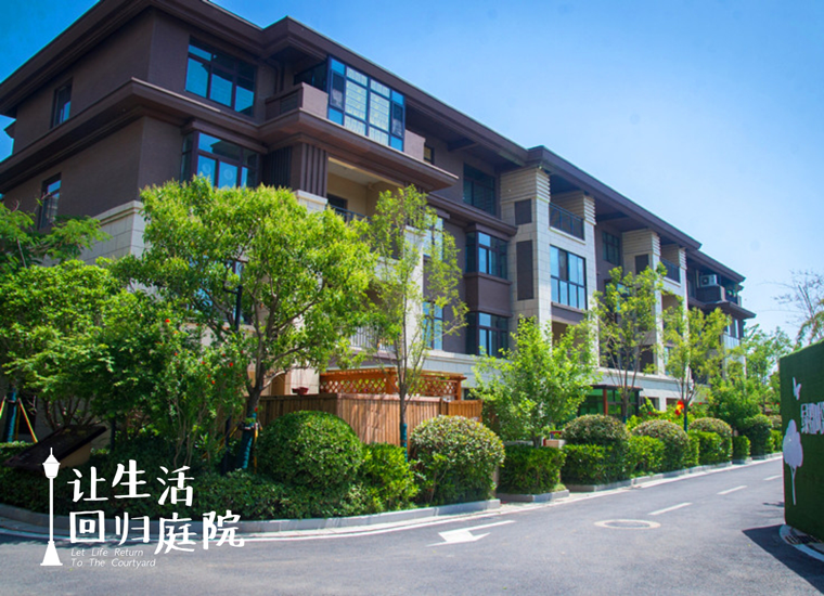 前后张望南阳50年：这样的庭院，，，很难再有了！