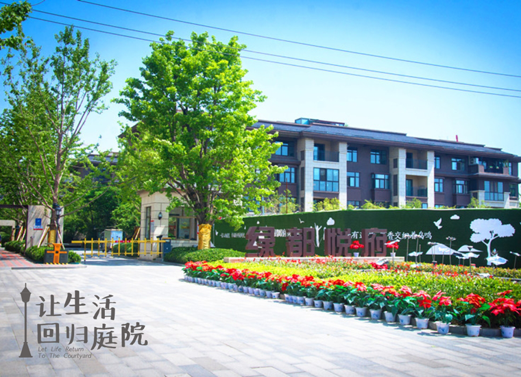 前后张望南阳50年：这样的庭院，，，很难再有了！