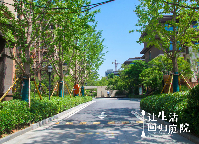 前后张望南阳50年：这样的庭院，，，很难再有了！