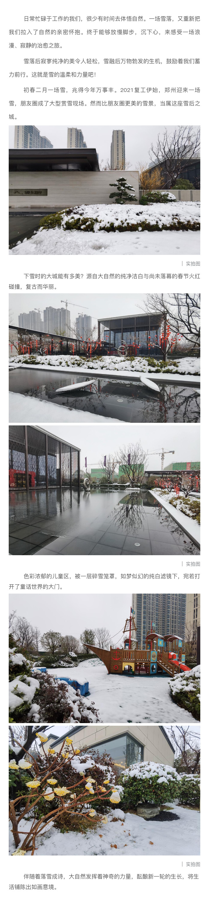 2021浪漫开年，，，，，，共赏一场鹅毛大雪！