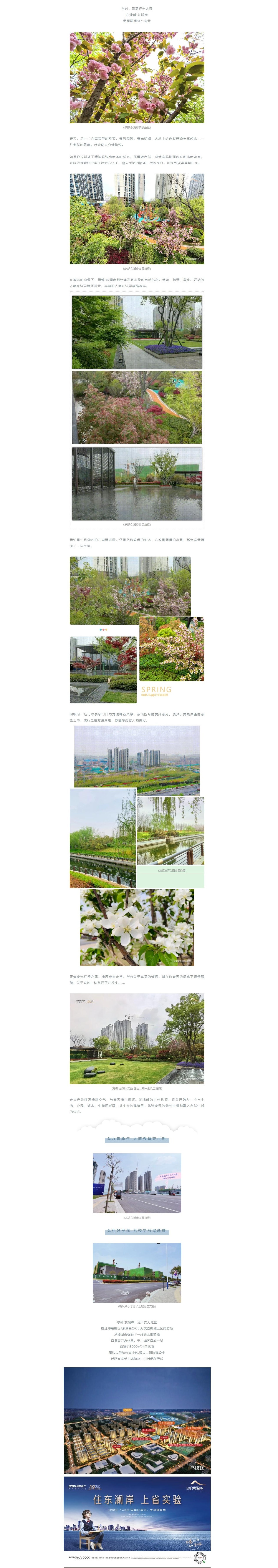 赏花踏青，，，来一场和春天的约会