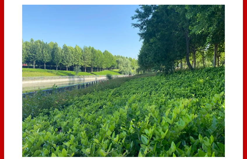 年终薅好房，，这个明星红盘把“出圈”举行究竟！