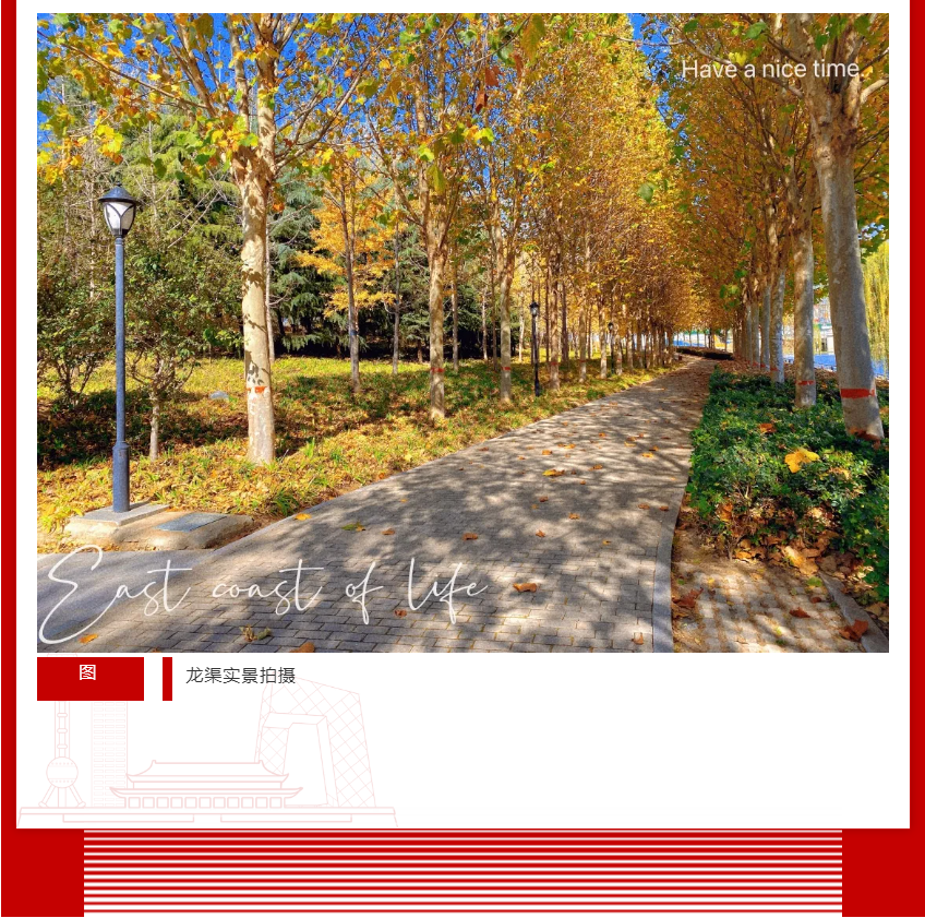 年终薅好房，，这个明星红盘把“出圈”举行究竟！